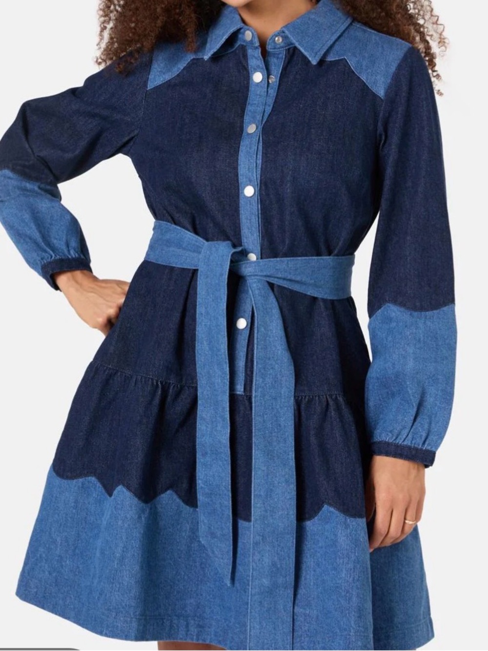 NWT Gorman Green Picking Petals Denim Shirt Dress